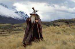 Bild föreställande Gandalf som går i ett naturlandskap i Nya Zeeland.