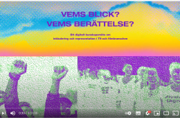 Vems blick? Vems berättelse?